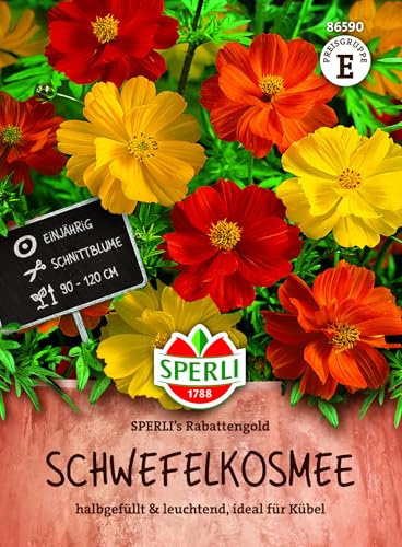 Sperli Schwefelkosmeensamen SPERLI's Rabattengold 86590, Sommerblumensaat | Leuchtende, halbgefüllte Blüten in Gelb & Orange (5-8 cm). Verschont von Schneckenfraß. Ideal für Beet, Bauerngarten & Kübel.