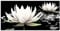 ARTland Wanddeko Glasbilder Wandbild Glas Bild einteilig 60x30 cm Querformat Asien Botanik Blumen Blüten Lotusblume Seerose Modern Schwarz Weiß T9NL
