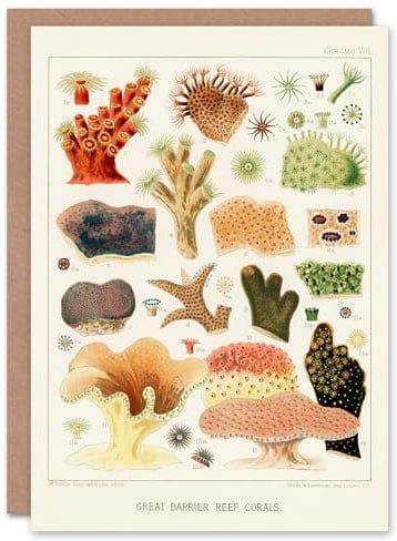 Artery8 William Saville Kent Art Card Great Barrier Reef Corals Illustration