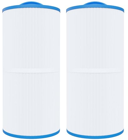 Nexbriz Cartouche Filtrante Piscine Compatible avec Filtrinov® MX18, 2PCS | Remplace Filtrinov MX18/MX25, GS8/GS14, 25 Micros