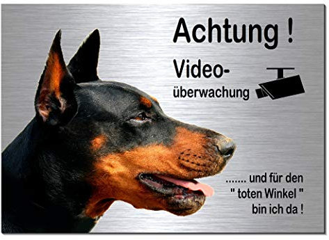 Dobermann-Videoüberwachung-Hund-Schild-Hundeschild-30 x 20 cm-Aluminium Edelstahloptik-Hunde-Tierschild-Warnschild-Hinweisschild (133-19 - 30 x 20 cm mit Löcher)