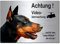 Dobermann-Videoüberwachung-Hund-Schild-Hundeschild-30 x 20 cm-Aluminium Edelstahloptik-Hunde-Tierschild-Warnschild-Hinweisschild (133-19 - 30 x 20 cm mit Löcher)