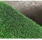6mm Artificial Grass Natural and Realistic Looking Fake Lawn Astro Turf 1m, 1.5m, 2m, 3m & 4m Widths | 1.5m x 3m