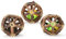 Pfotenolymp HQ Product Development Katzenspielzeug Spielzeug - Natürliche Silvervine Stick Käfig Bälle - Reinigung Zähne Backenzahn Tools für Haustiere - Matatabi Spielzeug - 3 Stück