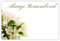 celloexpress Always Remembered (Malus Flower) Flower Message Cards - 60mm x 90mm - Bereavement Florist Card Sympathy Condolences Notes (Pack of 10)