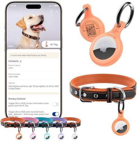 PawView Hundehalsband aus echtem Leder mit Smart-ID-Tag, verstellbar und personalisierbar für kleine, mittelgroße und große Hunde, atmungsaktives PU-Futter, Anti-Verlust-QR-Code (M, orangefarbenes Set