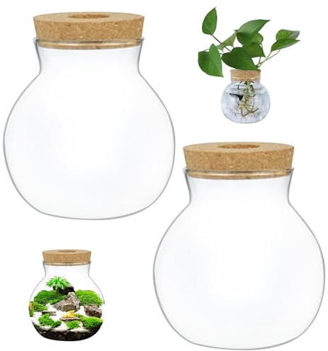 Pot de Terrarium 2PCS Verre Rond Transparent Calibre de Terrarium 2, 6 Pouces Bocaux en Verre Paysage avec Couvercles en Liège Plante Bricolage pour Plantes à Air Mousse Fougère à la Mai