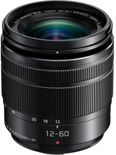 Panasonic Lumix G obiettivo, 25 mm, Asph., mirrorless micro quattro terzi, nero h-h025 K (USA)
