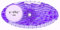 P-Wave Curve 10 Pack 30 Day Air Freshener For Home, Bathroom, Bedroom, Cupboards, Bins & Toilets, Highly fragranced Deodoriser, Recyclable, Fabulous Lavender