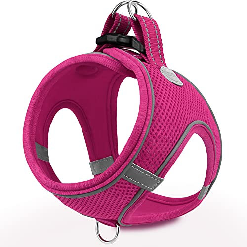 Joytale Hundegeschirr, Reflektierend Weich Gepolstert Hunde Geschirr, Air-Mesh Atmungsaktiv Brustgeschirr für Katze Welpen Hunde, XXXS, Leuchtend Rosa