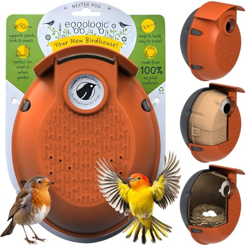 Eggologic Nester Pod - Perch-Free Vertical Bird Box for Wild Sparrow and Blue Tit Houses, Made from 100% Recycled Materials for Strength and Durability – Harvest Orange