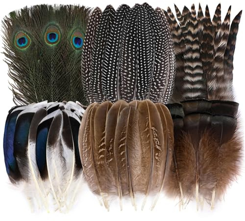 Holmgrem 48 Stück Federn zum Basteln 6 Stile Naturfedern für DIY Dekoration | Natürliche Pfauenfedern, Fasanenfedern, Türkei Federn für Handwerk DIY Schmuck Hut Hochzeit Home Party Dekoration