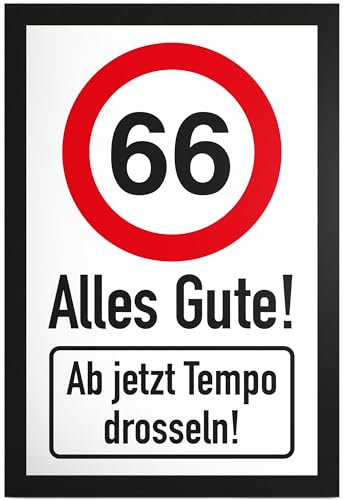 DankeDir! 66 Tempo Drosseln Schild - Alles Gute Geschenk 66. Geburtstag Geschenkidee Geburtstagsgeschenk Sechsundsechzigsten Geburtstagsdeko Partydeko Party Zubehör Geburtstagskarte