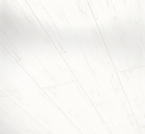 Parador Wandpaneele Deckenpaneele RapidoClick Arctic Pinie