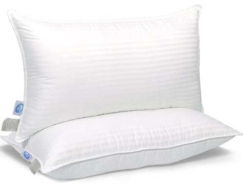 East Coast Bedding Cozy Dream Kissen, Hotel Collection King Size Set Down Kissen, Feste Stützkissen, weiße Einsatzkissen, 2er Set