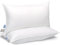East Coast Bedding Cozy Dream Kissen, Hotel Collection King Size Set Down Kissen, Feste Stützkissen, weiße Einsatzkissen, 2er Set