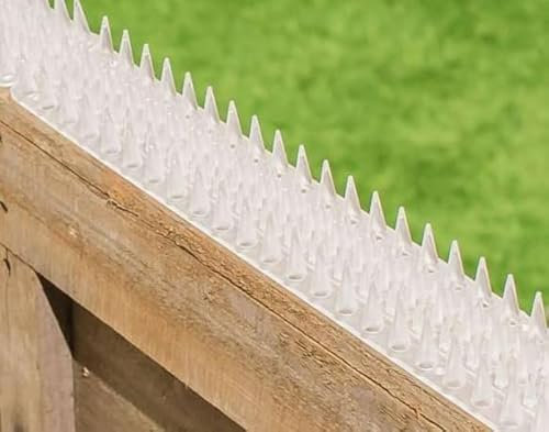 Primrose Fence Spikes - Cat Garden Wall Security Anti Climb Detterent Spike Strips - Clear - Pack of 8