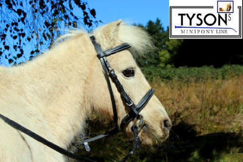 Tysons Breeches MMS MS S Minishetty Mini Shetty Reithalfter Trense Falabella Minipony Extra ZART + Zügel Stick (Shetty)