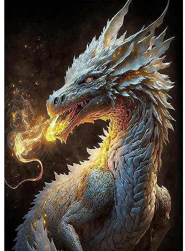 NAIMOER Diamond Painting Drache Erwachsene, 5D Drache Diamant Painting Bilder Erwachsene, DIY Drache Tiere Diamond Painting Bilder Diamant Malerei Kinder Set für Home Dekor 30x40cm