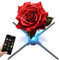 Multi Function 3D Hologram Fan with WIFI/APP/Remote Control, HD Bright Picture, Premium Sound Playback, for Holographic Advertising Display for Business Store Signs, Bar, Casino, Party, hallowee