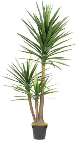 HTT Decorations - Künstliche Yucca Palme - Hochwertige Kunstpflanzen - 160 cm hoch