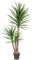HTT Decorations - Künstliche Yucca Palme - Hochwertige Kunstpflanzen - 160 cm hoch