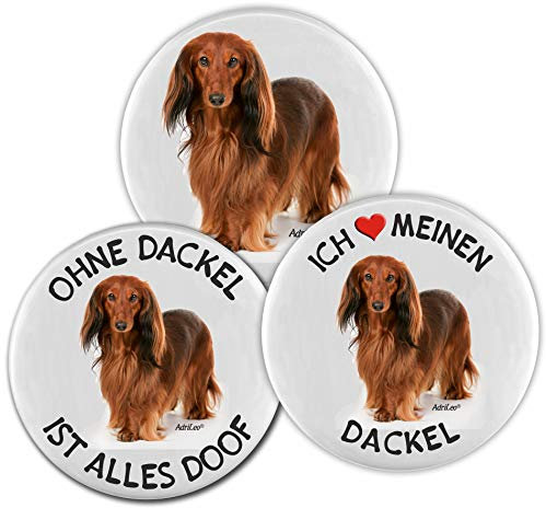 AdriLeo Kühlschrankmagnet - 3er Set - Roter Dackel (Langhaarteckel)
