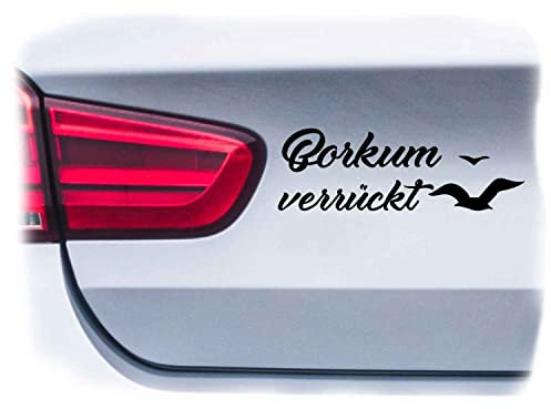WB wohn trends Auto-Aufkleber, Borkum verrückt, Silber, 15cm breit, Farbe und Größe wählbar, KFZ-Sticker LKW Spruch