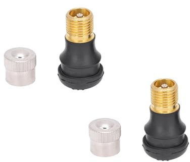 escootervision Tubeless Ventile 2er Set gerade kompatibel mit Ninebot G30 F-Serie VMAX Trittbrett