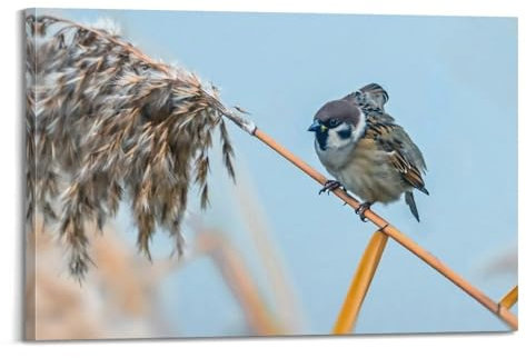 NIZIEE Tierposter, niedlicher Rookie Sparrow, dekoratives Gemälde, Leinwand, Poster, 20 x 30 cm