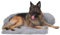 pfoten&nasen® Hundebett Sofa [Hellgrau, S - 80x75cm], Sofabett Hund, Sofaschutz Hund, Wasserdicht Hundematte Waschbar, Hundekissen für Große, Mittelgroße und Kleine Hunde, Hundesofa.