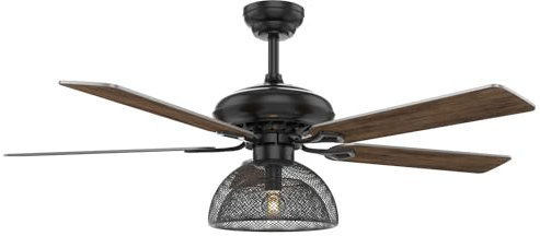 Czxfitness 52 Inch 5 Blades Iron Art 6 Speed Reversible DC Motor Ceiling Fan with Lamp Lampshade Light Remote Control (Brown)