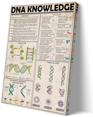 Matniger DNA Wandkunst, Wissensposter, Drucke, pädagogische Wandkunst, Biologie-Poster, gerahmt, Vintage-Chemie-Poster für Klassenzimmer, Wanddekoration, 40,6 x 61 cm