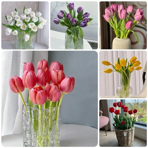 12 Pcs Tulpenzwiebeln Kaufen - Tulipa Gesneriana - Tulpen Zwiebeln, Bodendecker Winterhart Mehrjährig, Blumenwiese Tulpenzwiebel, Blumenzwiebeln Tulpen, Blumenzwiebel, Balkonpflanzen