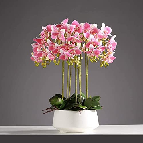 Kunstblume Kunststoff Künstliche Phalaenopsis Blumen Tischdeko Kunstblumen Deko 3/6/10 Kopf Orchideen Künstliche Bonsai Schöne Form
