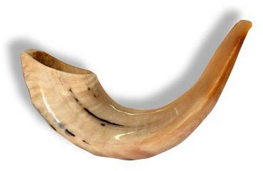 Schofar Shofar Kosher Rams Horn Instrument Natural Shoffar Shophar schofar Judaica Gift Rosh hashanah Jewish koscher Hupe