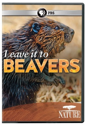 Nature: Leave It to Beavers