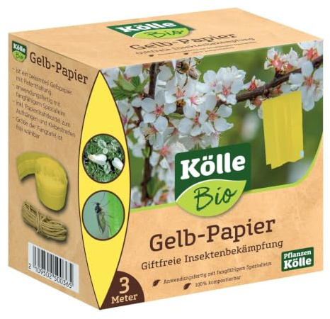 Kölle Bio Gelb-Papier, 3 m