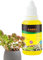 Fulenyi Fertilizante para suculentas, cactus y plantas de interior, Potenciador del crecimiento de raíces suculentas de 50 ml
