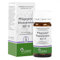 PFLÜGERPLEX Rhododendron 307 H Tabletten 100 St