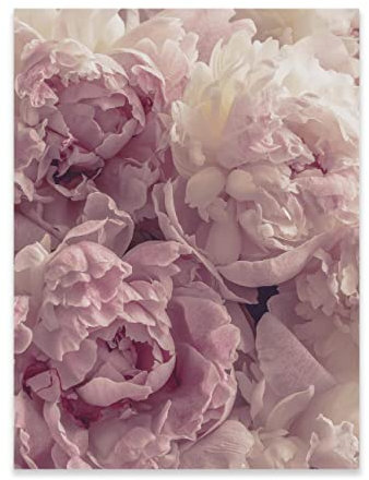 Poster Fleurs roses pivoines 30 x 40 cm Format portrait – Sans cadre XXL Poster mural Impression d'art mural Tableau mural sur poster pour salon, chambre à coucher, cuisine
