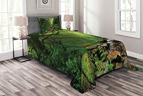 ABAKUHAUS Regenwald Tagesdecke Set, Frühling in Nepal Fußweg, Set mit Kissenbezug luftdurchlässig, für Einzelbetten 170 x 220 cm, Grün-braunen