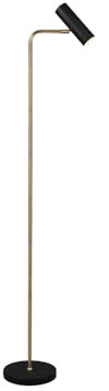 Stehlampe aus Metall Schwarz Messing mit schwenkbarem Spot, Höhe 151cm