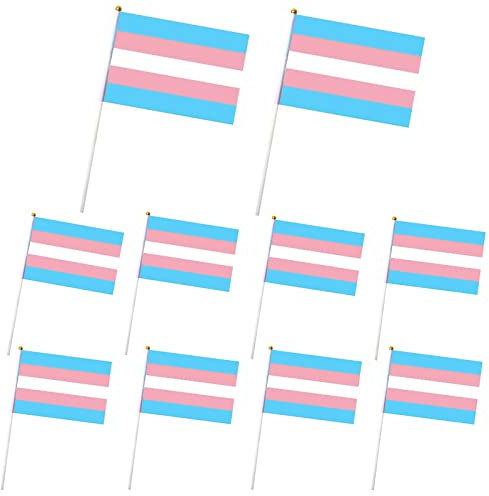 Transgender Pride Handheld Flag on Sticks - Mini Rainbow LGBT Party Parade and Festival Decorations