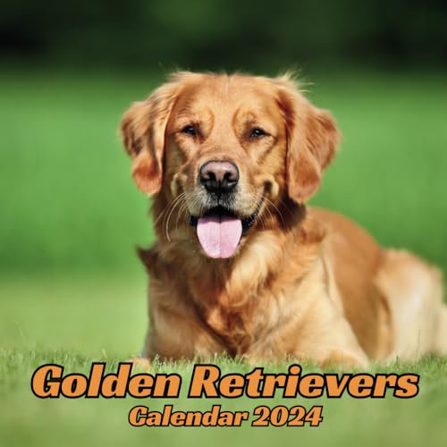 Golden Retrievers Calendar 2024: 12 Months Organizer For Home & Office Organizer From January to December For Dogs Lovers