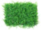 Warmiehomy Artificial Hedge Wall Panel 40 x 60 x 10cm Green Grass Living Plant Privace Screening for Indoor Outdoor Garden Home Wedding Office Decoration