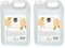 BOLDAIR- Nettoyant mains the vert bergamote- Formule nettoyante, Hydratante et adoucissante- 5L- Fabrication Française (Lot de 2)