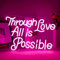 ineonlife Through Love ALL is Possible Neonschild für Wanddekoration, Rosa USB Led Light Up Schilder für Schlafzimmer Ästhetisch Geburtstag Hochzeit Party Freund Freundin Liebhaber Raumdekoration