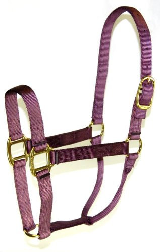 Hamilton 1 Nylon Quality Horse Halter, Average Size (800-1100 lbs), Plum