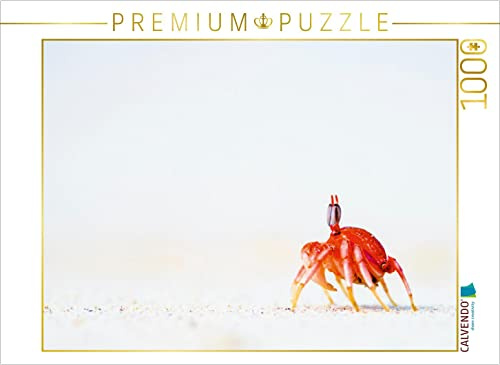 CALVENDO Puzzle Geisterkrabbe | 1000 Teile Lege-Größe 64 x 48 cm Foto-Puzzle für glückliche Stunden